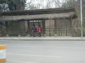 阳光猪舍，四季如春