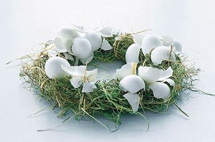 鸡蛋壳的营养成分