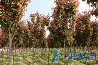 造福工程， 利国利民