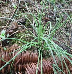 意外事件引发的故事