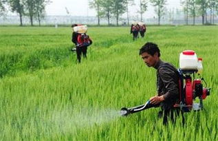 农药怎么选？我来给你支个招