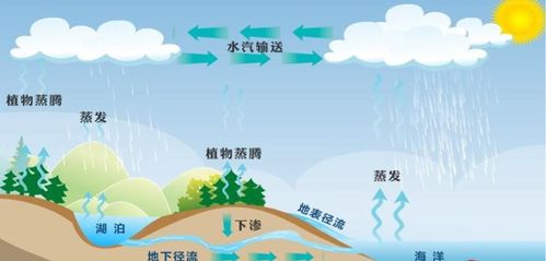 揭秘水循环：儿童版农业知识普及