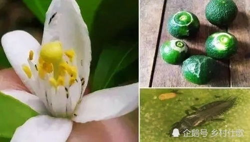 那怎么办呢？