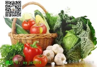 腐木肥料：是宝还是坑？