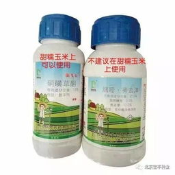 注意事项：用除草剂要讲究方法