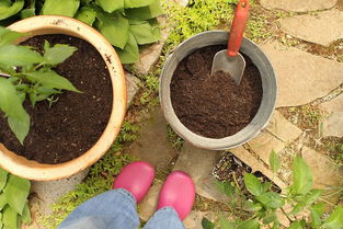 怎么判断施肥过量？三个信号， 别忽视