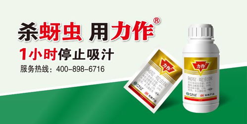 复合肥使用禁忌有哪些？如何避免过量施用