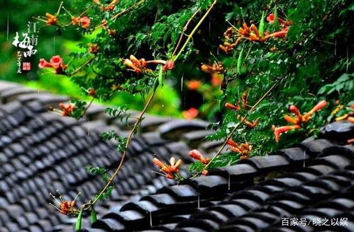 季节问题，你注意了吗？