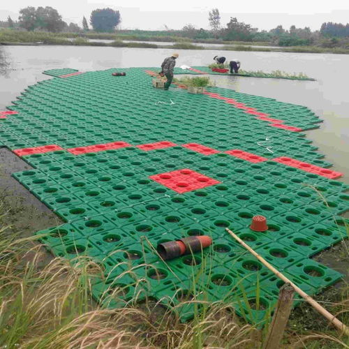 人工浮岛适合种植耐水湿、根系发达的植物