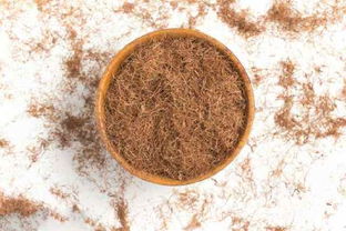 橡树种子泡水后会不会烂？新手种植避免失败指南