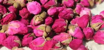 浇水频率， 得堪花苗生长阶段