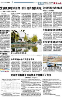 饲料企业年度备案需要遵循哪些具体流程和标准？