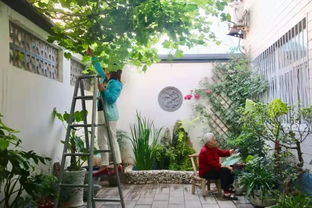 自家小院也要美