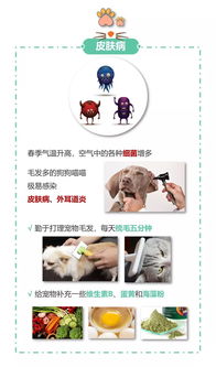 春季养猪如何有效预防这几种常见病？