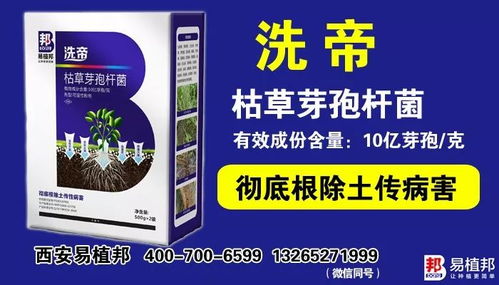 选对药，关键中的关键