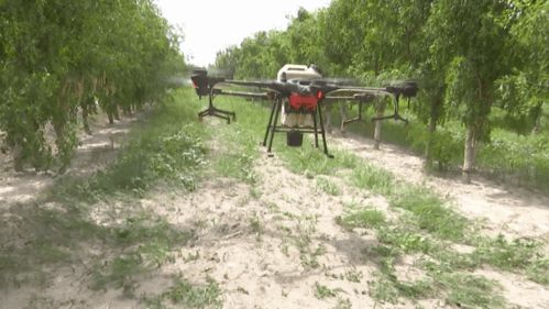 无人机喷洒农药浓度提高一倍的原因揭秘