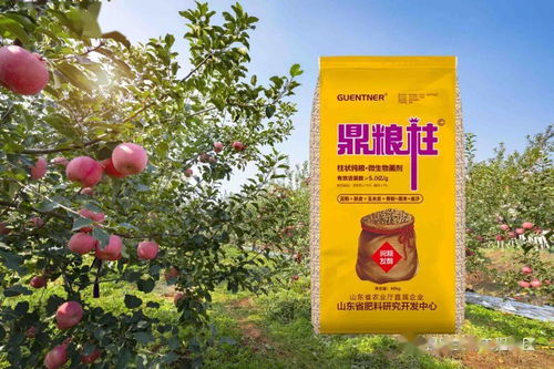 秋施基肥的坏处