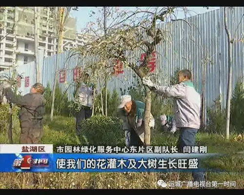 覆盖保护与挡风墙的搭建