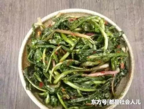 蒲公英怎么吃？这些美味吃法你试过吗