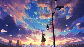 白莲花：心灵解脱的象征，探索内心的自由之旅