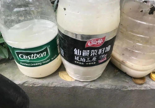 氮肥的制作方法