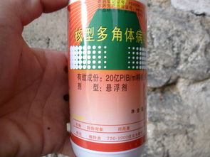 6000倍和1000倍，怎么算呢？