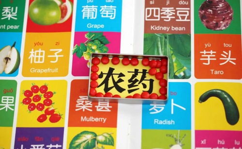 药物的选择原则