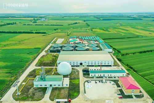 如何提高粪污收集和农户接受度，助力有机肥厂可持续发展？