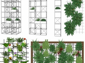 植物墙， 打造立体景观