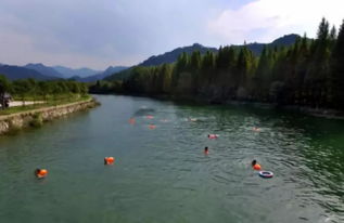 鱼塘里的秘密武器