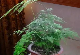 二、 实质性的保障措施，温暖如春