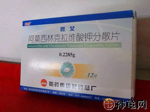 乌龟生病了怎么办？阿莫西林和百菌清Neng一起用吗？