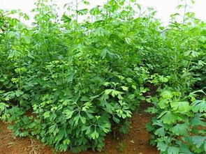 第三步：价格一览， 一目了然