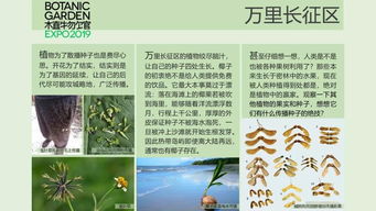 共生互利：协作共生的庇护