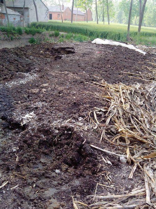 土壤封闭处理：防患于未然