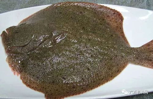 卫生部门抽检发现多宝鱼体内全染绿色