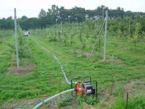 土壤的干湿程度判断