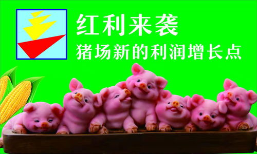 猪场僵猪多，是不是管理出了问题？