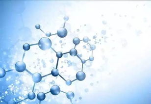 云杉种子的坚韧与生命力