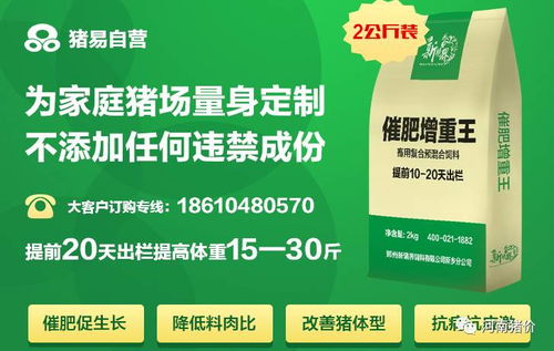 兽药之间相互作用及临床应用，养猪人如何正确把握？