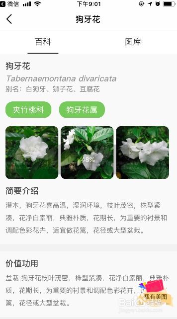 图片查植物名称，如何快速识别植物种类