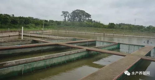 态鱼塘设计方案， 实现可持续发展