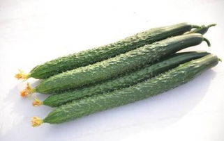 黄瓜皮上的农药残留