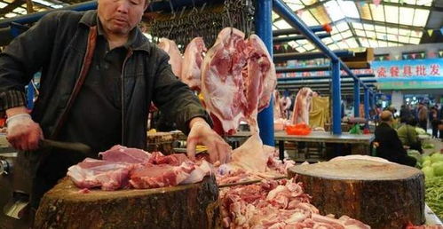 从猪肉品牌看养殖创新之路