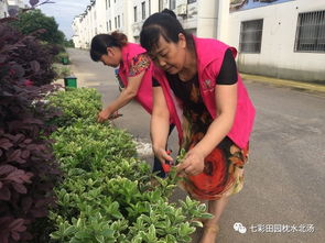 黄砂土：排水与保水的大师