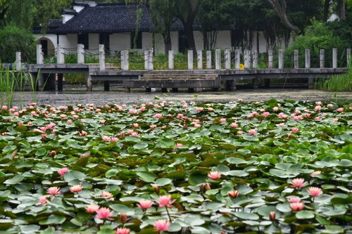 泡水的时间， 像等太阳升起