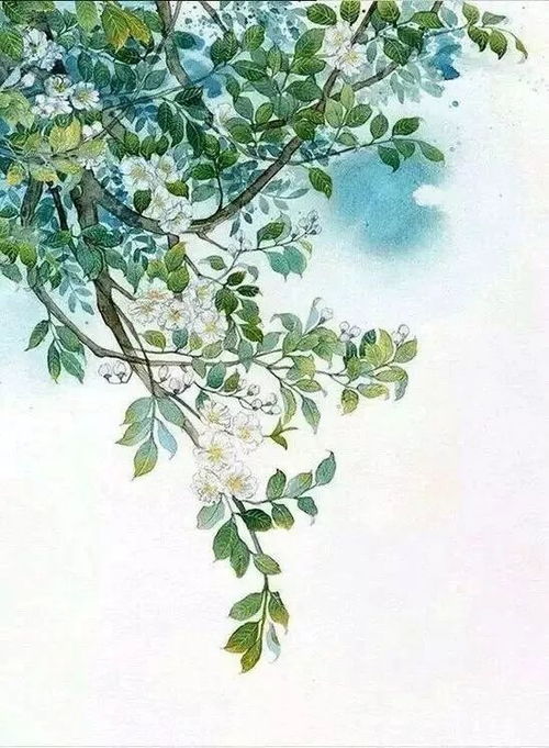 植物的意象与人的精神世界