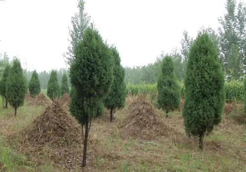 试试这几种方法