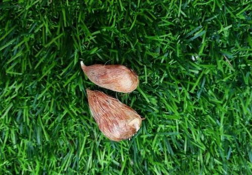 消毒那些避雷指南