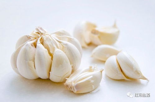 罗非鱼料中是否含有大蒜素成分？